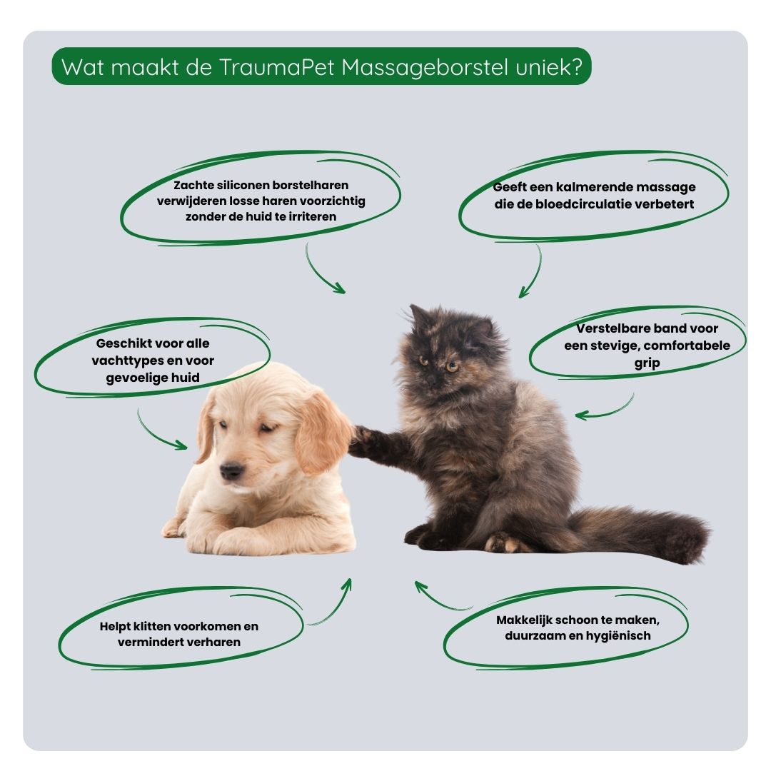 Overzicht van de voordelen van de TraumaPet Massageborstel: zachte massage, stimuleert bloedsomloop, verwijdert losse haren, voorkomt klitten en geschikt voor gevoelige huid.
