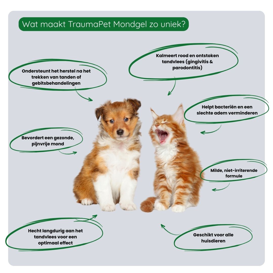 Overzicht van de voordelen van TraumaPet mondgel: kalmeert tandvlees, ondersteunt herstel, helpt bacteriegroei verminderen en bevordert een gezonde mondflora.