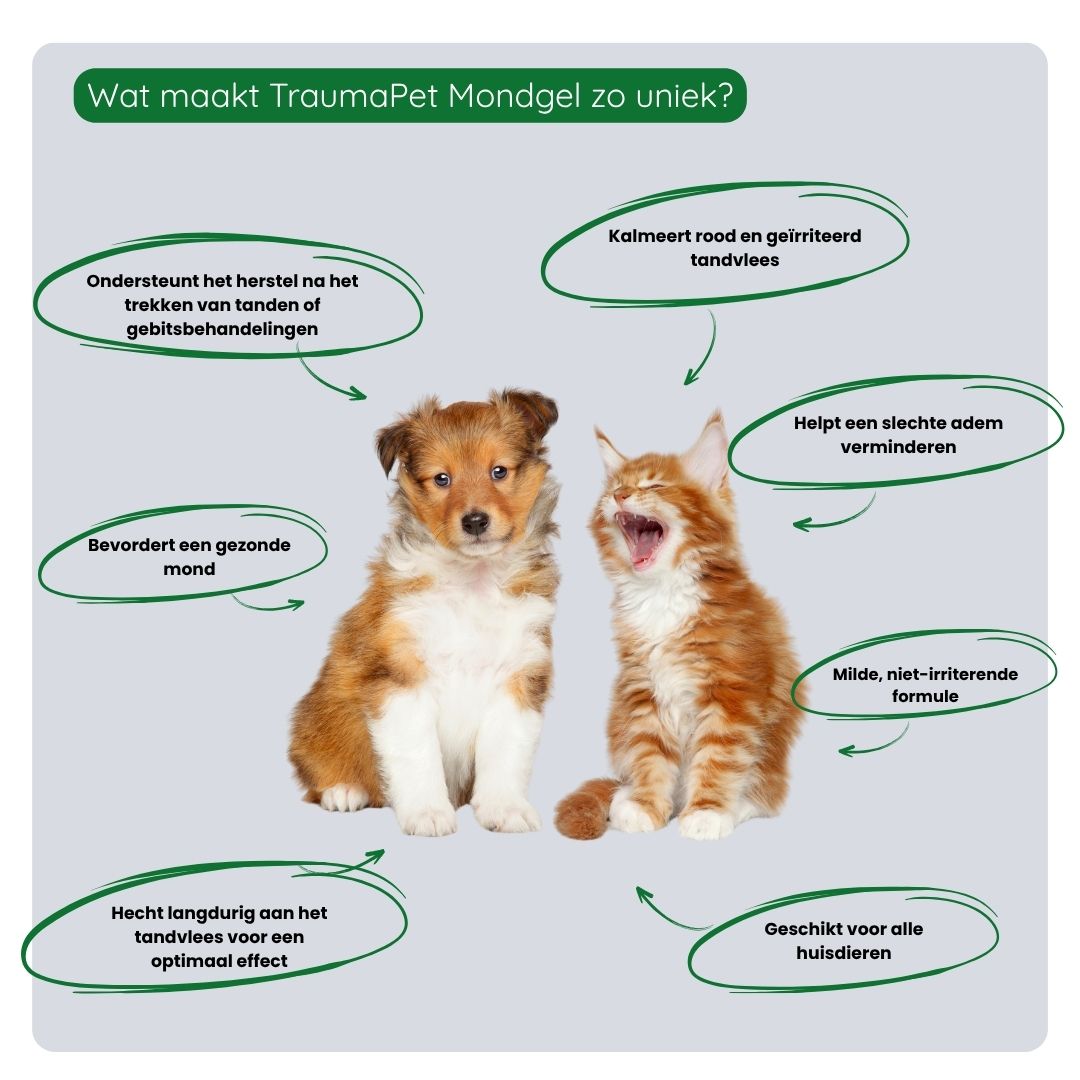 Overzicht van de voordelen van TraumaPet mondgel: kalmeert tandvlees, ondersteunt herstel, helpt bacteriegroei verminderen en bevordert een gezonde mondflora.