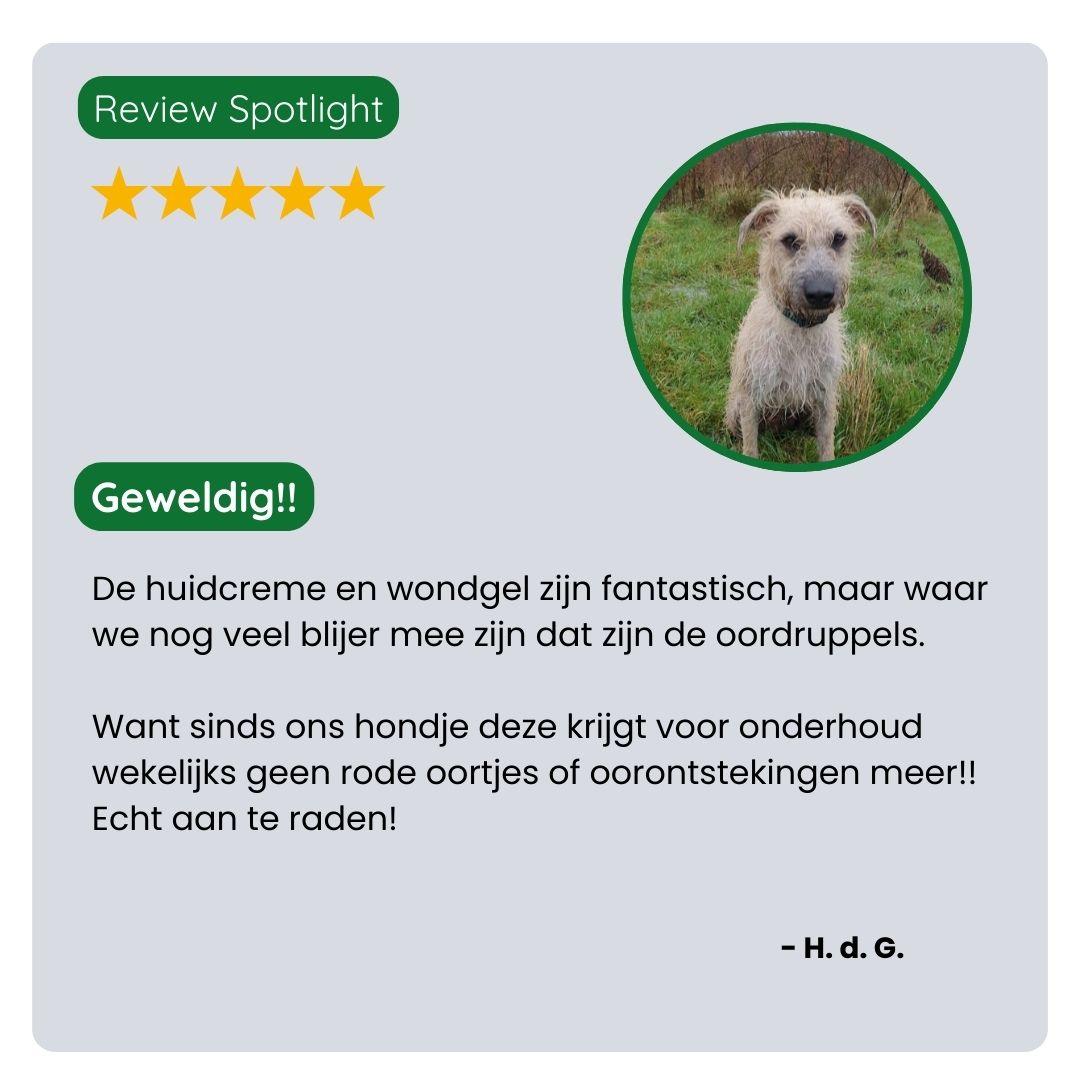 Klant deelt positieve ervaring met de TraumaPet Must-have Set. Altijd de juiste oplossing bij jeuk, roodheid, irritatie en kleine wondjes.