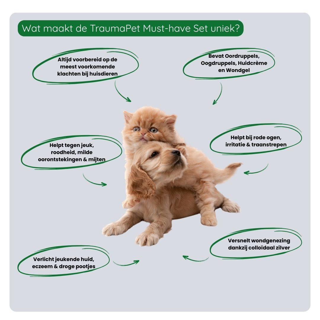 Overzicht van de voordelen van de TraumaPet Must-have Set: compleet voorbereid, veelzijdig inzetbaar, ideaal voor thuis en onderweg en geschikt voor alle huisdieren.