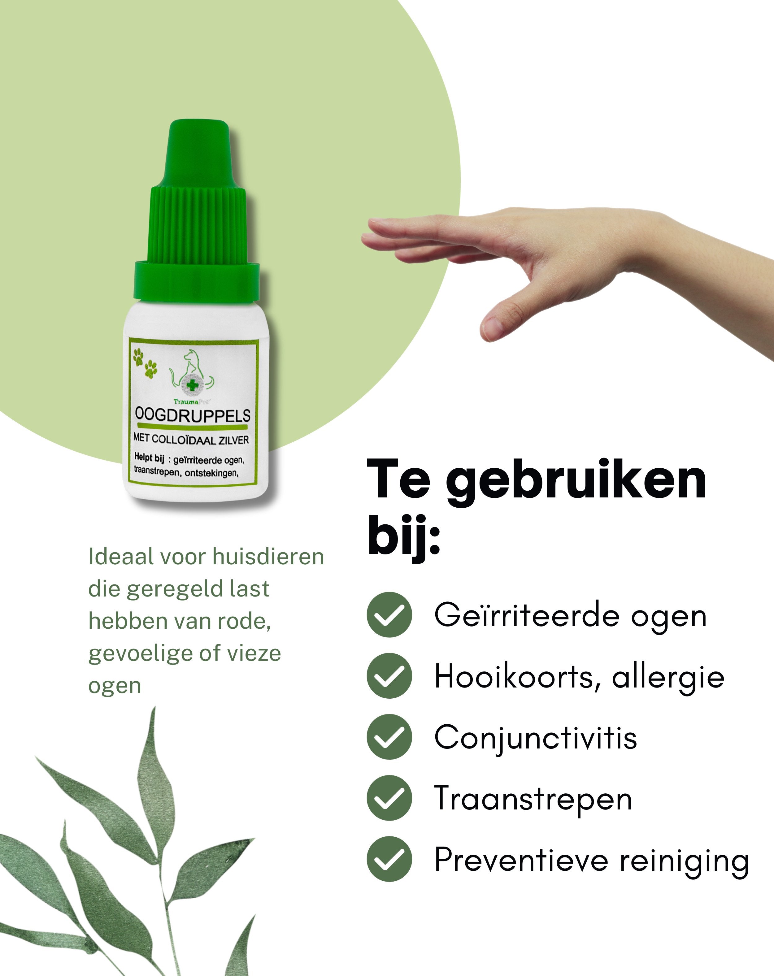 TraumaPet Nederland | Oogdruppels
