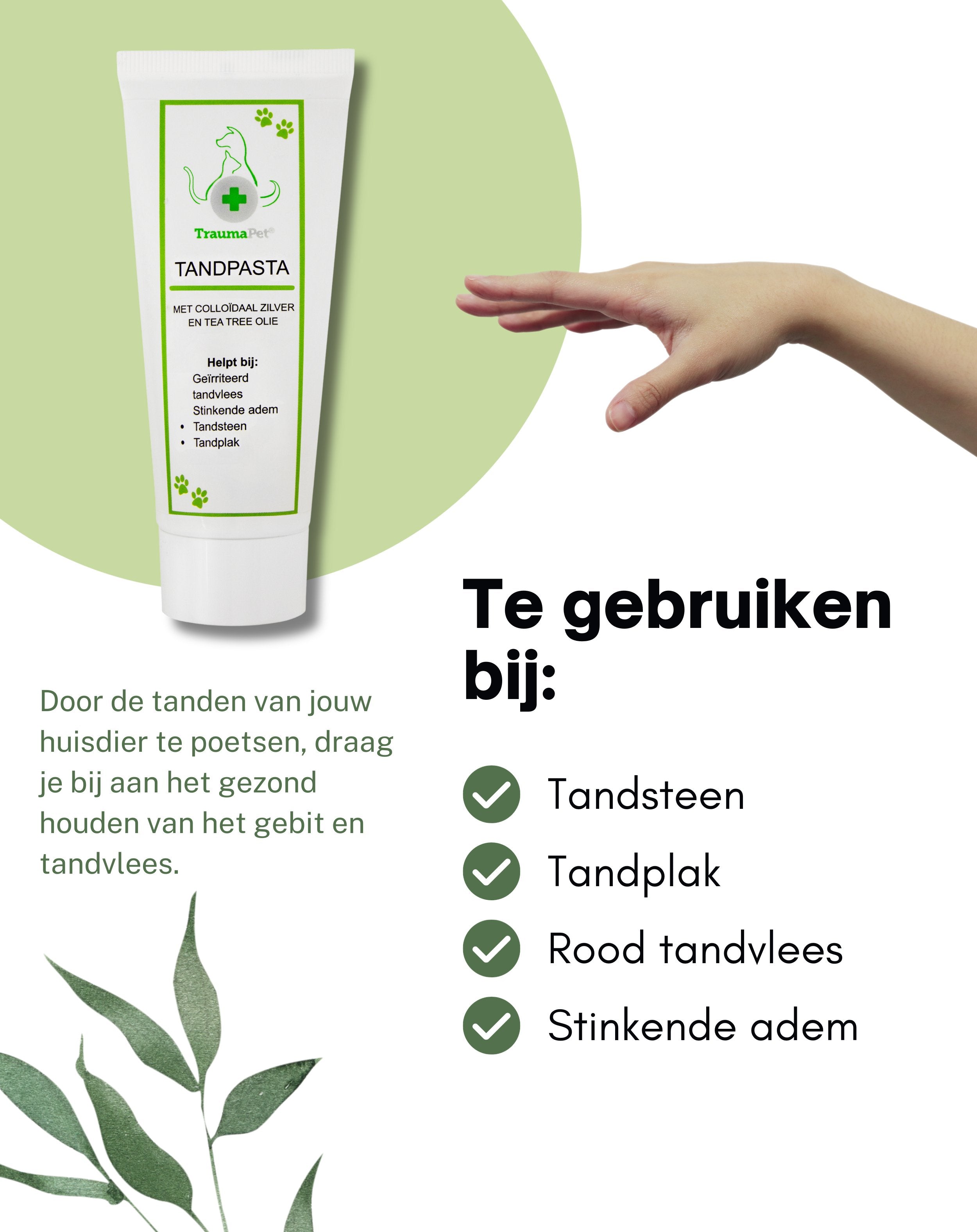 TraumaPet Nederland | Tandpasta