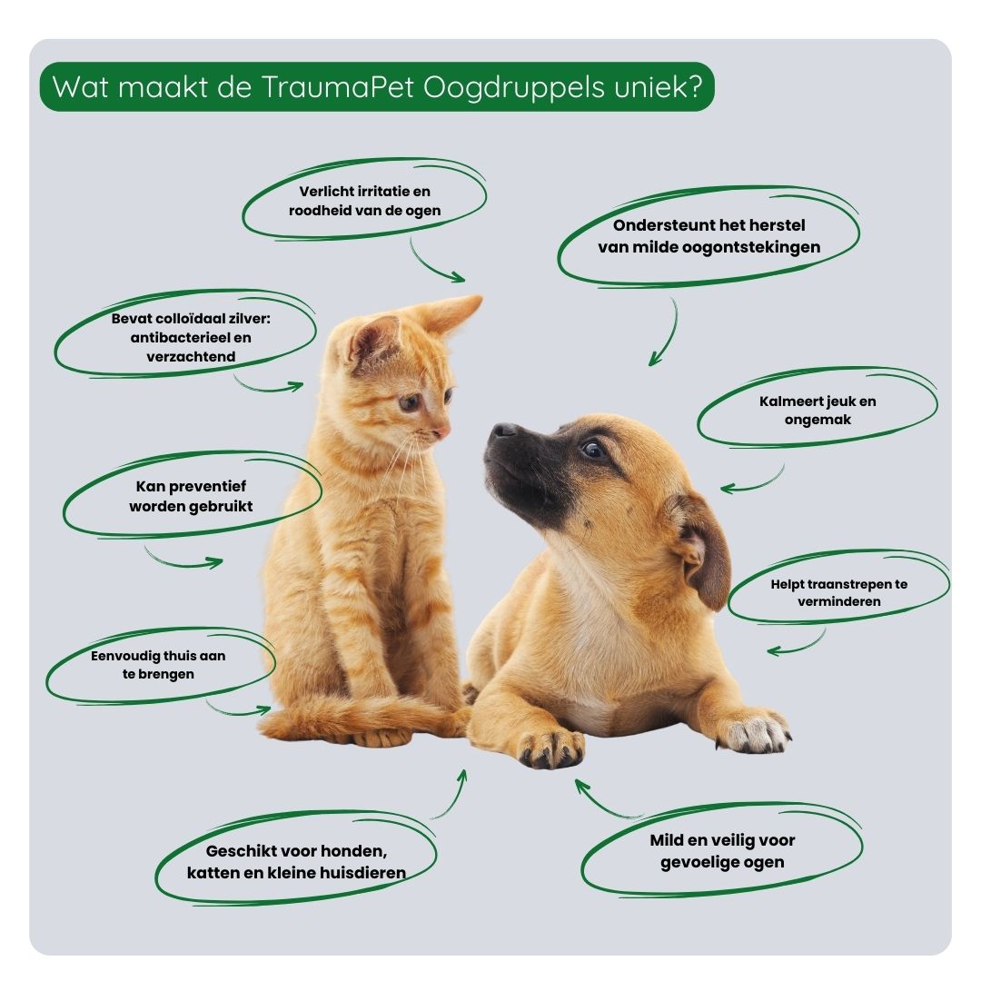 Overzicht van de voordelen van TraumaPet Oogdruppels: vermindert roodheid, reinigt ogen, ondersteunt herstel en voorkomt nieuwe irritatie bij huisdieren.