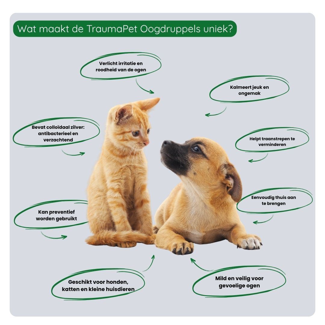 Overzicht van de voordelen van TraumaPet Oogdruppels: vermindert roodheid, reinigt ogen, ondersteunt herstel en voorkomt nieuwe irritatie bij huisdieren.
