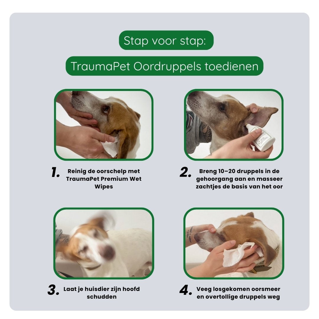 Uitleg hoe TraumaPet Oordruppels correct worden aangebracht, reinigen met TraumaPet Wet Wipes, druppelen en zacht inmasseren van het oor.