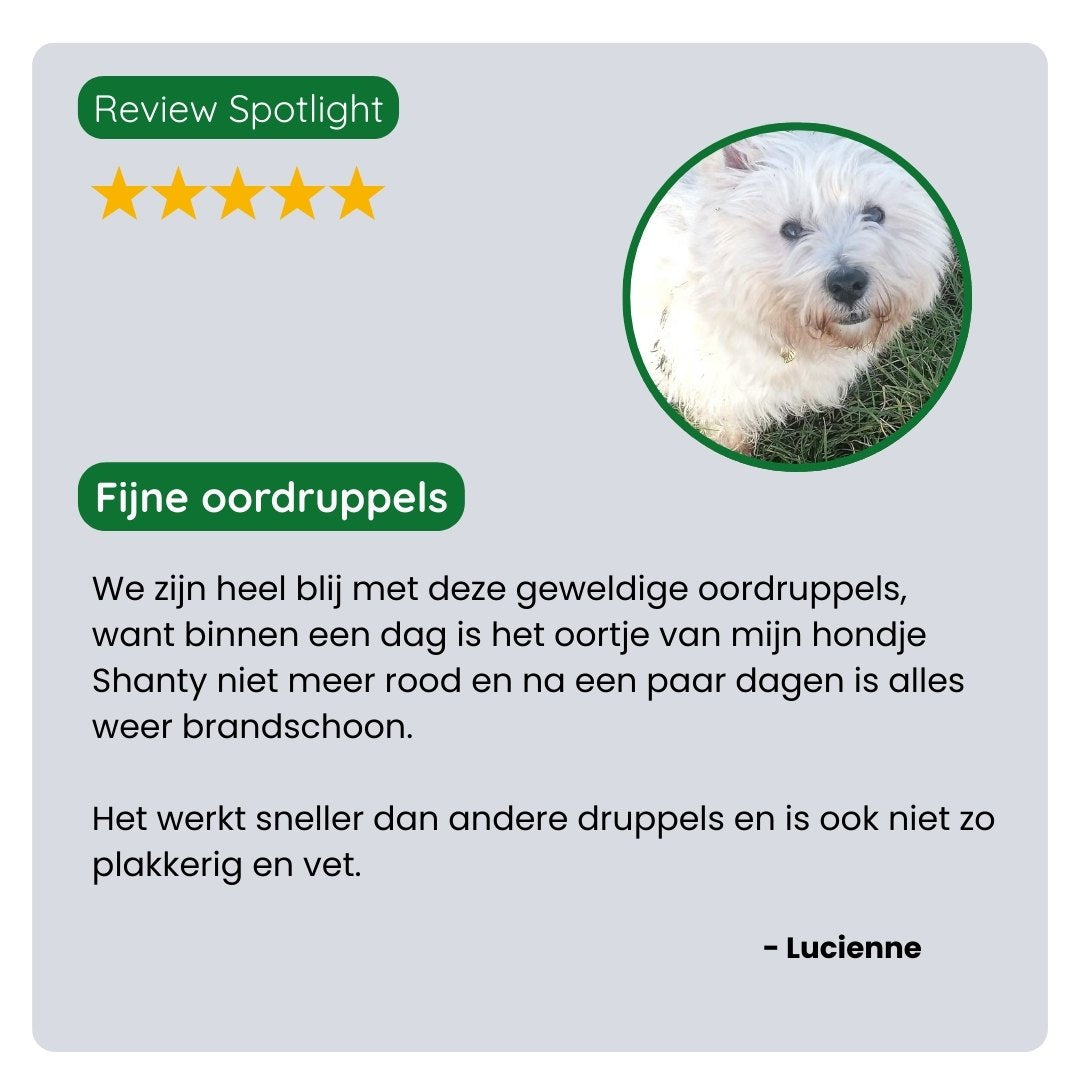 Tevreden klant deelt ervaring met TraumaPet Oordruppels, snelle verlichting bij roodheid en irritatie in de oren van hond Shanty.