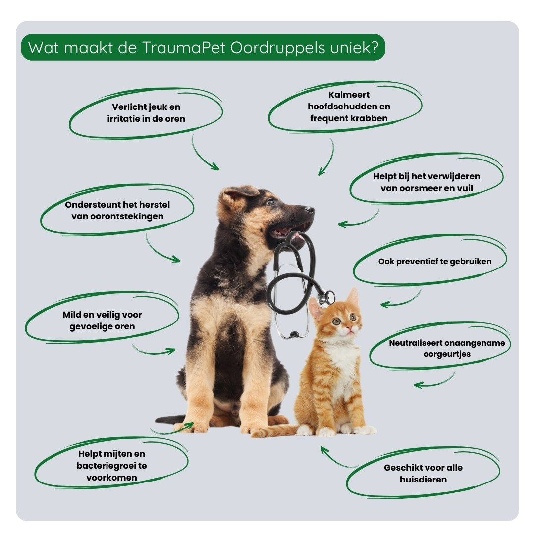 Overzicht van de voordelen van TraumaPet Oordruppels: verlicht jeuk, verwijdert oorsmeer, voorkomt mijten en bacteriegroei bij huisdieren.