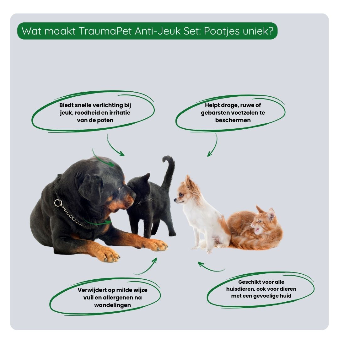 TraumaPet Anti-Jeuk Set: Pootjes verzacht jeuk, beschermt en ondersteunt herstel van geïrriteerde poten