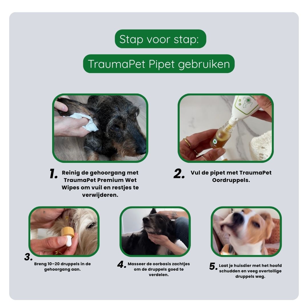 Stappenplan voor correct gebruik van de TraumaPet pipet, pipet vullen, oor openen, druppels toedienen en onder het oor zachtjes masseren.
