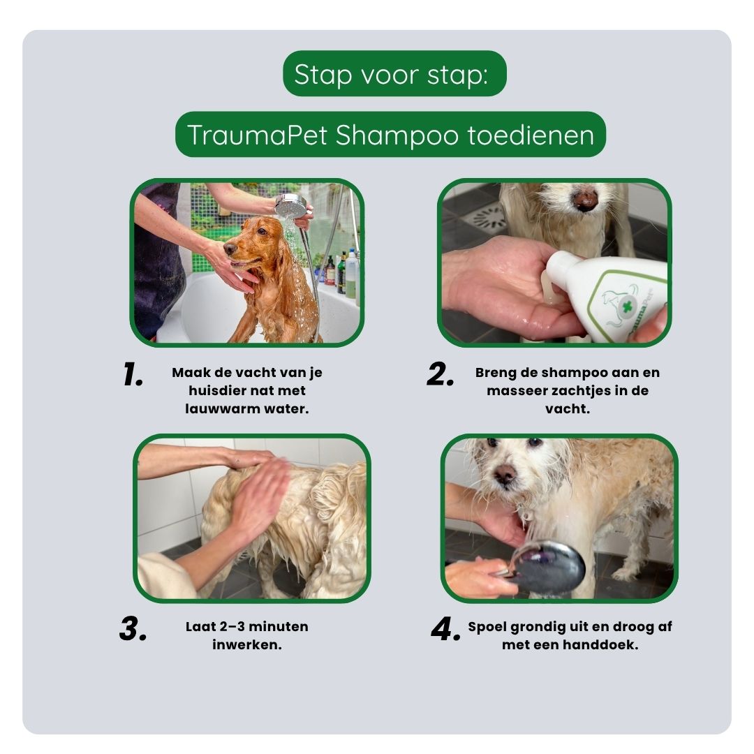 Gebruik van TraumaPet Lente & Zomer Set met dagelijkse en wekelijkse verzorgingsroutine voor optimale bescherming