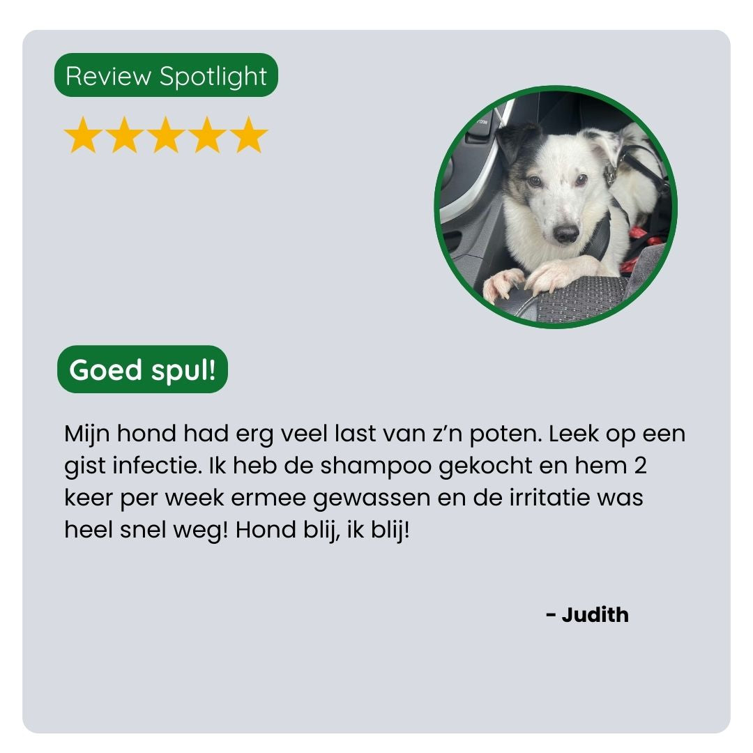 Klant deelt positieve ervaring met TraumaPet Shampoo, minder jeuk, minder huidirritatie en een zichtbaar frissere en gezondere vacht.