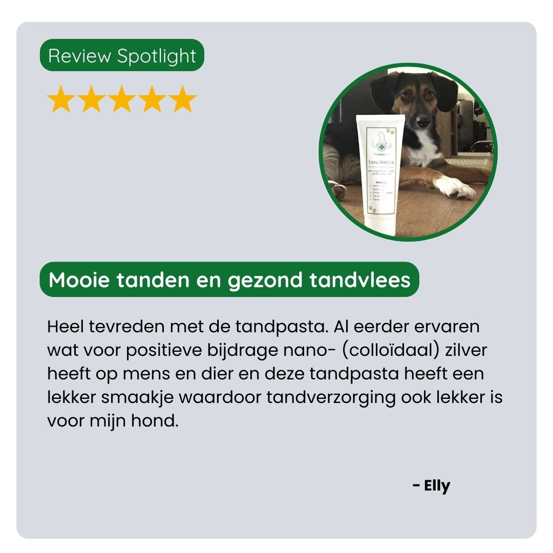 Klant deelt positieve ervaring met TraumaPet Tandpasta: minder tandplak, gezonder tandvlees en aangenamere adem bij hun huisdier.
