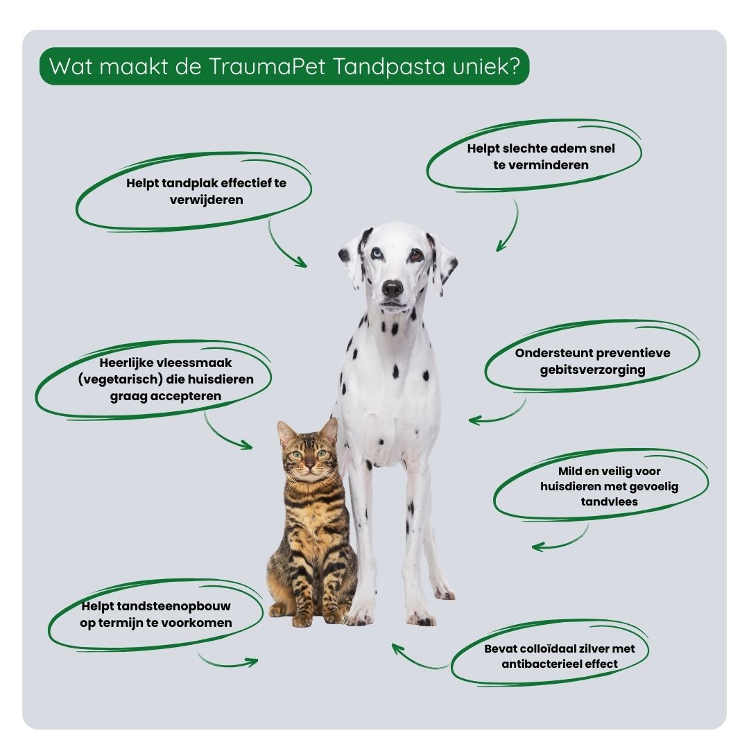 Overzicht van de voordelen van TraumaPet Tandpasta: verwijdert tandplak, voorkomt tandsteen, ondersteunt gezond tandvlees en zorgt voor frisse adem.