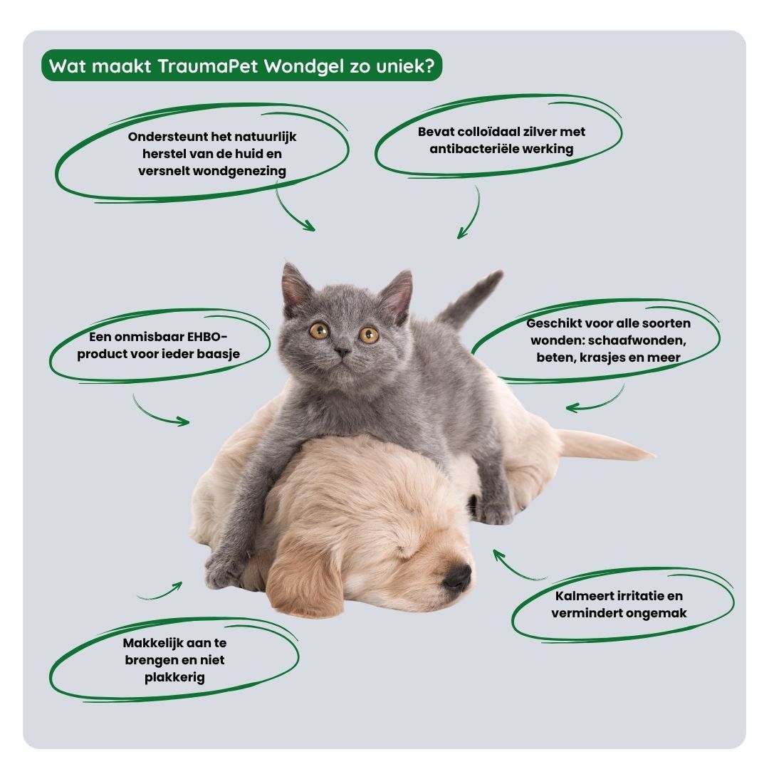 Overzicht van de voordelen van TraumaPet wondgel: antibacteriële werking, versnelt wondherstel, vermindert infectierisico en verzacht de huid.