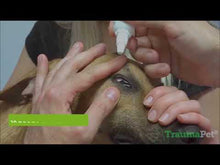 Video laden en afspelen in Gallery-weergave, Must-have set
